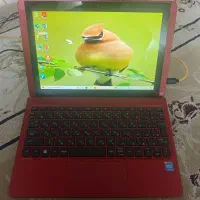 لب تاپ ۱۰ اینچی hp تبلت شو|رایانه همراه|شیروان (خراسان), |دیوار