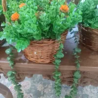 گل شمشاد سبذی|گل مصنوعی|تهران, تهرانسر شرقی|دیوار