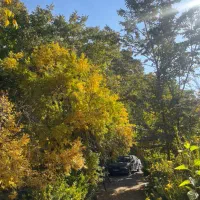 اجاره باغ / دوکوهک / سیستم گرمایش از کف|اجارهٔ کوتاه‌مدت ویلا و باغ|شیراز, معالی‌آباد|دیوار