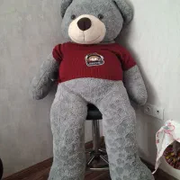 شاسخین وارداتی