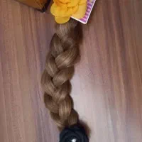 مو لایت شده