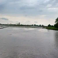 فروش-زمین-شالیزاری-ولوکلا