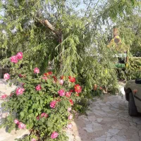 باغ ۱۴۰۰ متری شاندیز