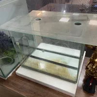 آکواریوم بزرگ و کوچک با تجهیزات|ماهی|شهریار, شهرک شاهد|دیوار