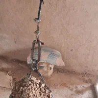 مغنی و چاه کن