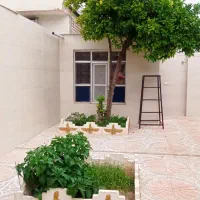 فروش خانه در روستای شمس آبادتخت نزدیک تخت جمشید|فروش خانه و ویلا|مرودشت, محمد آباد|دیوار