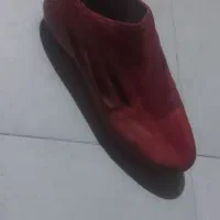 استوک ۳۹ ۴۰ F50 بی بند