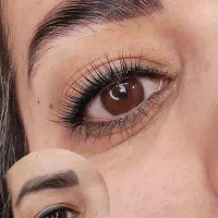 آموزش لیفت و لمینت مژه و ابرو|خدمات آموزشی|مشهد, سجاد شهر|دیوار