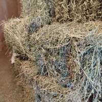 پرس یونجه درجه یک