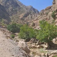 طبیعت گردی|فعالیت داوطلبانه|تهران, سازمان برنامه شمالی|دیوار