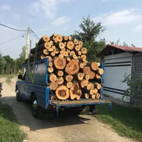 خرید چوب باغی صنوبر و جنگلی بصورت ایستاده و آماده