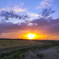 فروش-56هکتار-زمین-کشاورزی-6دانگ-چسبیده-به-شهر