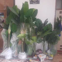 درخت مصنوعی