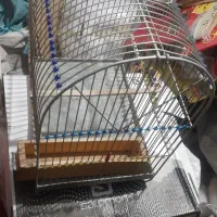 سلام|لوازم جانبی حیوانات|سنندج, |دیوار