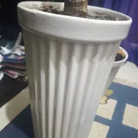 گلدان سفالی در سایز های مختلف