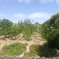 کارگر دامداری و باغداری