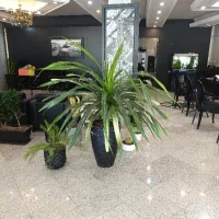 آپارتمان-بلوار-سجاد