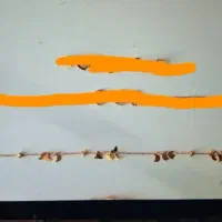 دستبند طلا