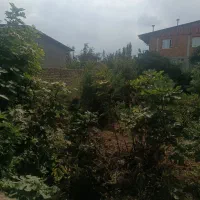 زمین شمال/بهر جاده بهشهر گرگان/مسکونی تجاری|فروش زمین و ملک کلنگی|گلوگاه, |دیوار