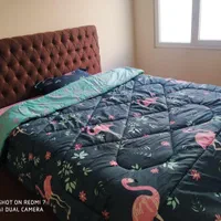 اجاره سوییت ومنزل مبله به صورت ماهانه وروزانه|اجارهٔ کوتاه‌مدت آپارتمان و سوئیت|پرند, |دیوار