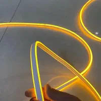 ریسه نئون فلکسی