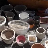 مقدار زیاد گلدان