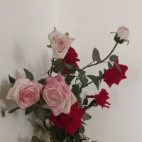 گل رز زیبا باگلدون|گل مصنوعی|رودهن, |دیوار