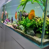 آکواریوم با تمام تجهیزات