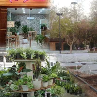 جذب نیرو در کافی‌شاپ و گلخانه