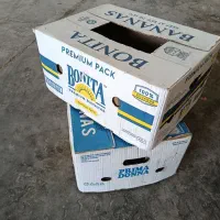 کارتن موزی عمده و خورده (اسباب کشی)