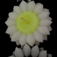 شمع دست ساز|صنایع دستی و سایر لوازم تزئینی|تهران, امیریه|دیوار