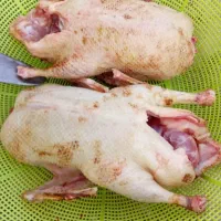 اردک و خروس پر کنده