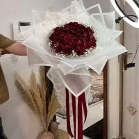 دسته‌گل رز سرخ۲۵شاخه