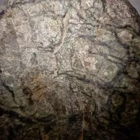 شهاب سنگ|کلکسیون اشیاء عتیقه|کرمانشاه, |دیوار