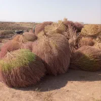 جارو محلی|لوازم نظافت|سبزوار, شهرک صنعتی خاوران|دیوار