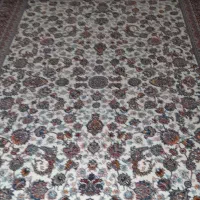 ۶ متری نو|فرش|کرمانشاه, |دیوار