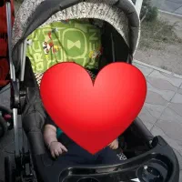 سرویس کالکسه و کریر و روروئک مارک چیکو
