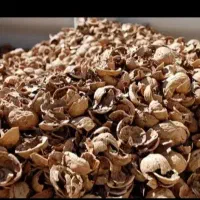 خرید پوست گردو بادام وپسته
