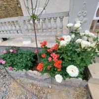۳۲۰ متر ویلا فول امکانات.نوساز عقیل اباد روزانه.هف
