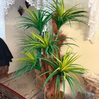 درخت مصنوعی|گل مصنوعی|تبریز, |دیوار