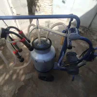 شیردوش|اسباب و اثاث بچه|دینور, |دیوار