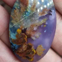 سنگ شجر|جواهرات|فردوس (خراسان), |دیوار