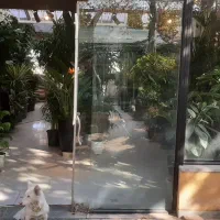 گل گیاه|گل و گیاه طبیعی|مشهد, شهرک صنعتی توس|دیوار