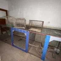 قفس بزرگ پرنده|لوازم جانبی حیوانات|بندر دیر, |دیوار