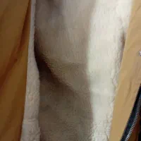 کاپشن و پافر|لباس|شیراز, ماه فیروزان|دیوار