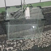 اکواریوم شرکتی