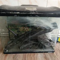 اکواریوم مورب با متعلقات