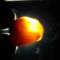 سنگهای طبیعی قیمتی