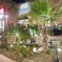 ظرفشور کارگر ساده