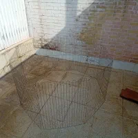 پارک و باکس و اسبابازی